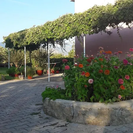Jerry Apartament Svoronata